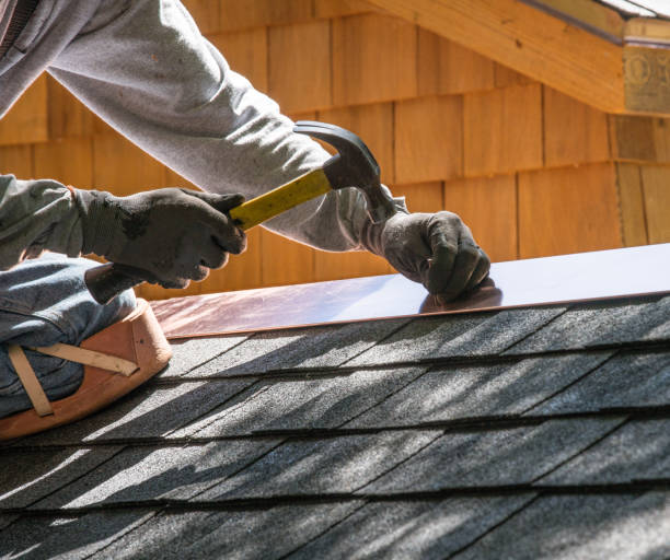 Best Roof Gutter Cleaning  in Fairview, TX